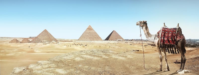 Archaeological Excavation